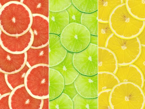 Abstract background of citrus slices. Closeup. Studio photography.