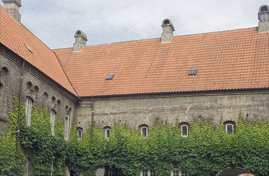 Walls of an old monastery covered with ivy