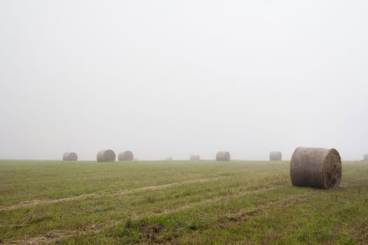 Shot of the misty landscape - meadow in the mist