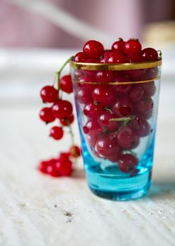 Glass full of Cranberries stands on a white table against blurry background. Shallow DOF