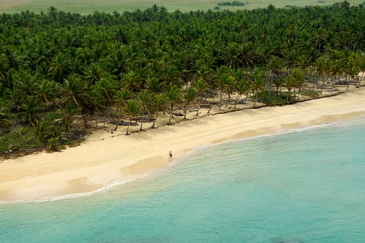 Empty beach seen from above. The dominican republic.