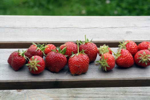 harvested strawberries