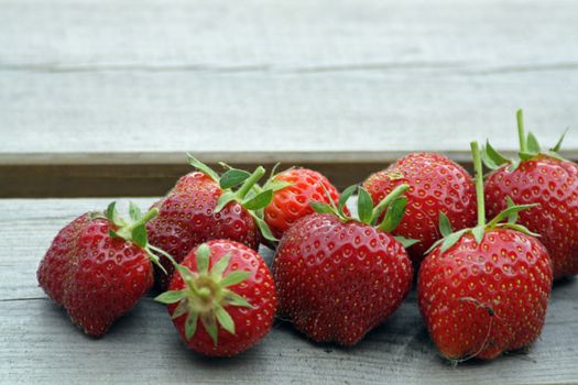 harvested strawberries