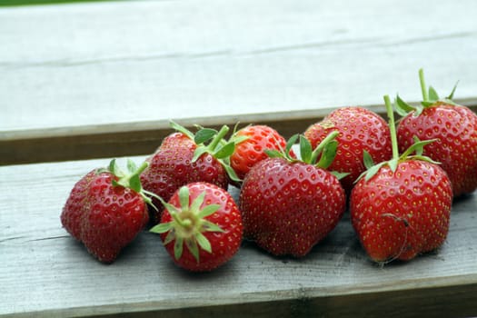 harvested strawberries