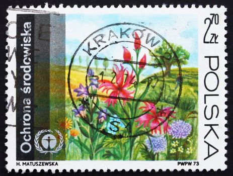 POLAND - CIRCA 1973: a stamp printed in the Poland shows Flowers on Meadow, Protection of the Environment, circa 1973
