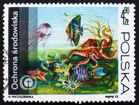 POLAND - CIRCA 1973: a stamp printed in the Poland shows Underwater Fauna and Flora, Protection of the Environment, circa 1973