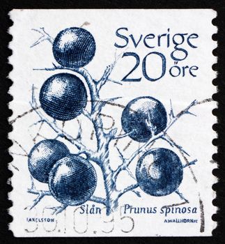 SWEDEN - CIRCA 1983: a stamp printed in the Sweden shows Sloe, Blackthorn, Prunus Spinosa, circa 1983