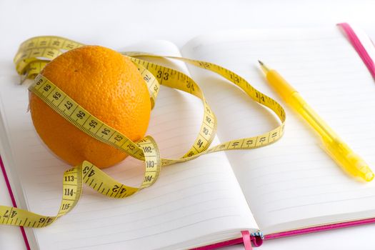 meter and nutrition diary isolated with soft shadow over white background