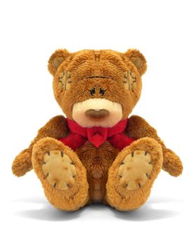 Teddy bear isolated on white