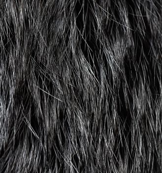 Fur texture background. Close up