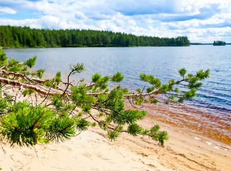 Summer day on a forest lake in Karelia, Russia
