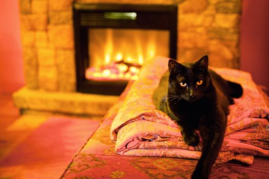 Black cat warming up itself by a fireplace