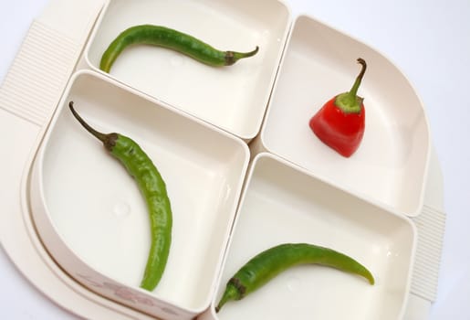 green pepper
