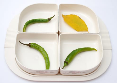 green pepper