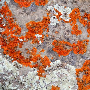 Image of texture with colorful mineral