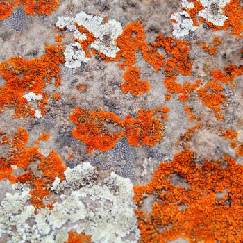 Image of texture with colorful mineral