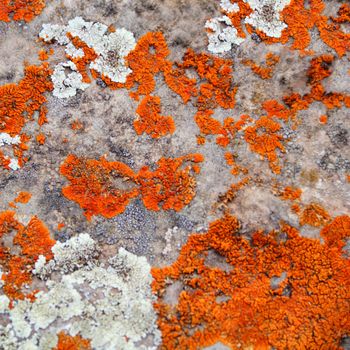 Image of texture with colorful mineral