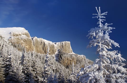 winter mountain scene in Romanian Carpathians 