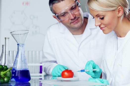manand woman try to change tomato DNA