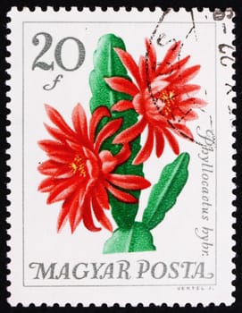 HUNGARY - CIRCA 1965: a stamp printed in the Hungary shows Flower, Phyllocactus Hybridus, Cactus, circa 1965