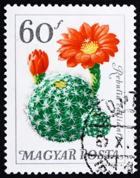 HUNGARY - CIRCA 1965: a stamp printed in the Hungary shows Flower, Rebutia Calliantha, Cactus, circa 1965