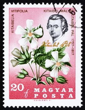 HUNGARY - CIRCA 1967: a stamp printed in the Hungary shows Pal Kitaibel, botanist, chemist, and Kitaibelia Vitifolia, circa 1967