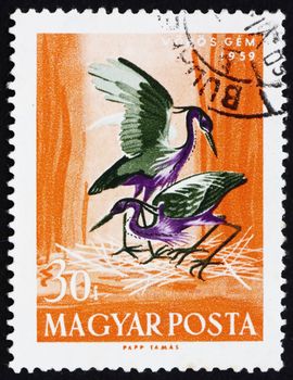 HUNGARY - CIRCA 1959: a stamp printed in the Hungary shows Purple Heron and Nest, Ardea Purpurea, Bird, circa 1959