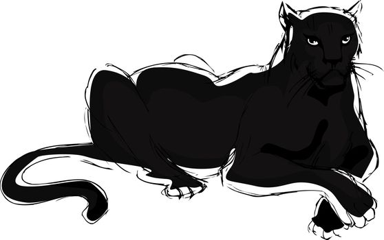 drawn a panther