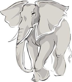 the drawn elephant