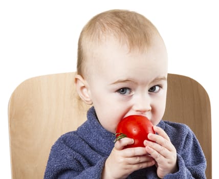 young child eating tomatoes in high chair. neutral background