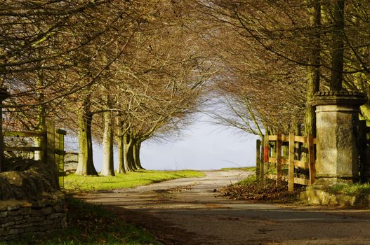 Park entry gate in winter, England, UK