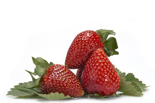 Strawberries with their leaves isolated on a white background