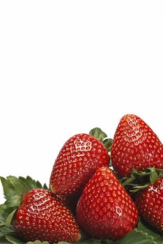 Strawberries with their leaves isolated on a white background