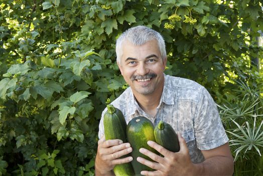 Satisfied man with three zucchini in garden