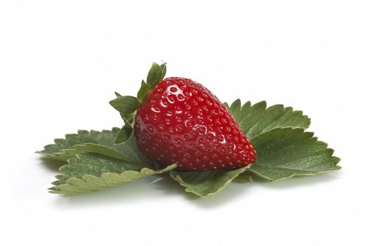 Strawberries with their leaves isolated on a white background