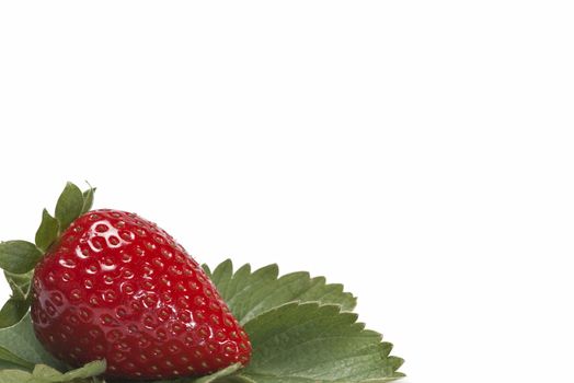 Strawberries with their leaves isolated on a white background