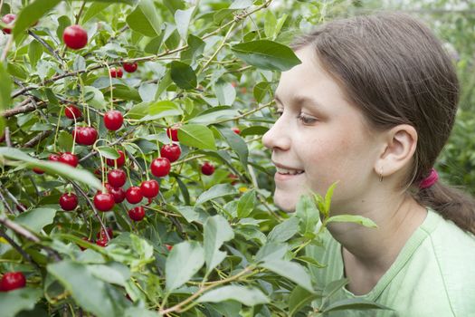 Girl under the cherry tree in the garden