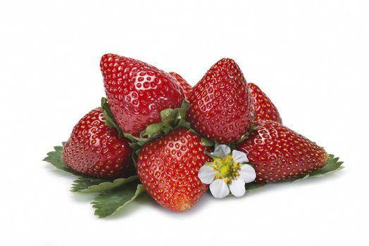 Strawberries with their leaves isolated on a white background