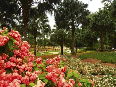 Tropical landscape witn flowers. Chon Buri, Thailand.