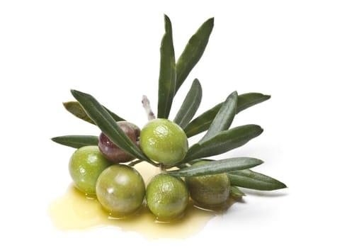 Olives covered in oil over a white basckground.