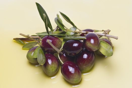 Olives covered in oil over a white basckground.