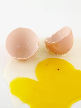 Egg Shells and Yolk on white