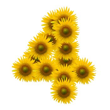 4,Sun flower alphabet isolated on white