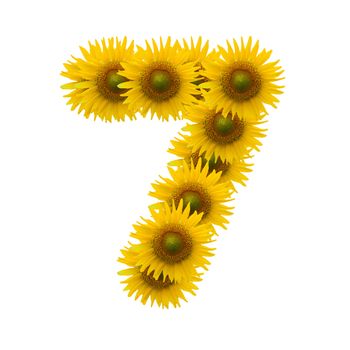 7,Sun flower alphabet isolated on white