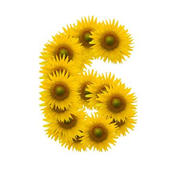 6, Sun flower alphabet isolated on white