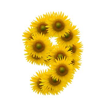 9, sun flower alphabet isolated on white