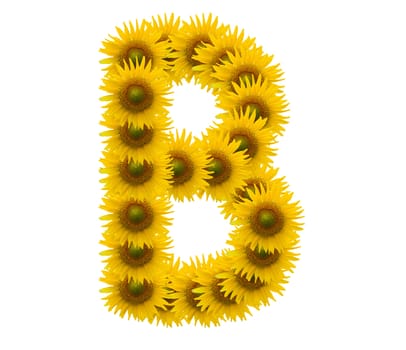 alphabet B, sunflower isolated on white background