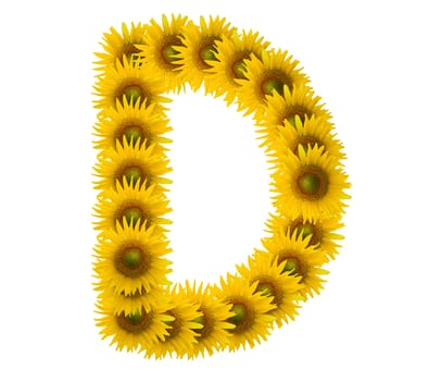 alphabet D, sunflower isolated on white background