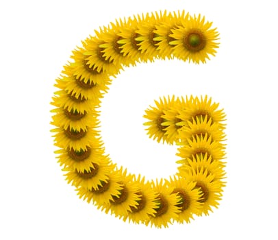 alphabet G, sunflower isolated on white background