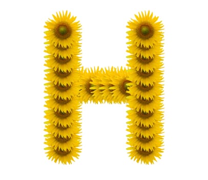 alphabet H, sunflower isolated on white background